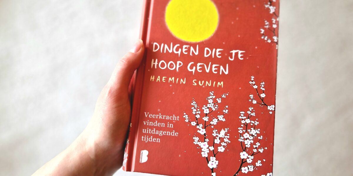 boek dingen die je hoop geven Haenim Sunim